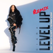 Level Up (Remix) [feat. Missy Elliott & Fatman Scoop] artwork