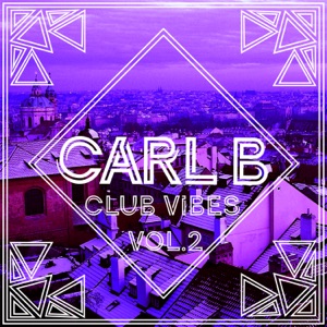 Club Vibes Vol. 2