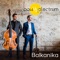 Balkanika - Bow vs. Plectrum & Zagreb Philharmonic Orchestra lyrics