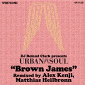 Brown James (DJ Roland Clark pres. Urban Soul) [Matty's Soulflower Remix] artwork