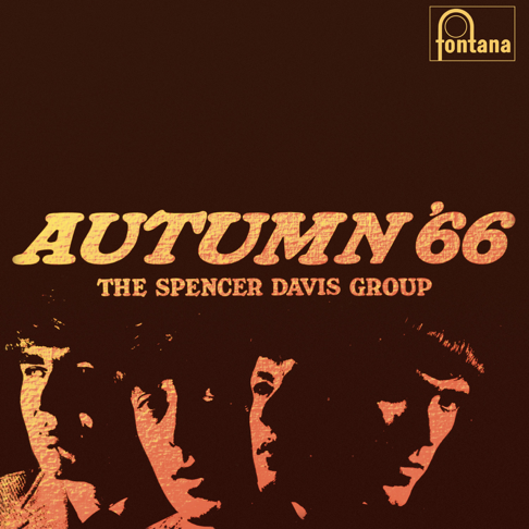The Spencer Davis Group – I Can't Stand It – Vinyl (7