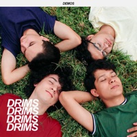 Album cover for Panda by DRIMS