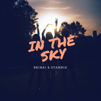 In the Sky (feat. Stannic) - Single