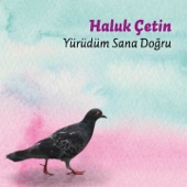 Türkan Saylan Türküsü artwork