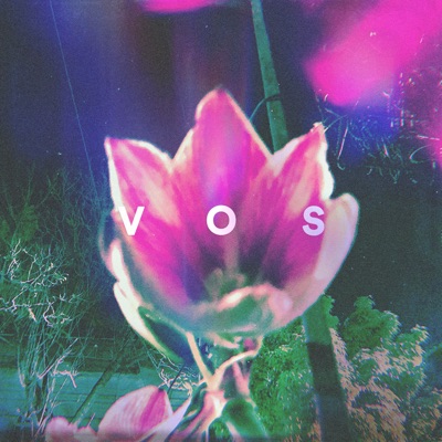 Vos (feat. Lucas Cordoba) - Single