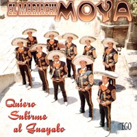 Quiero Subirme al Guayabo - El Mariachi Moya