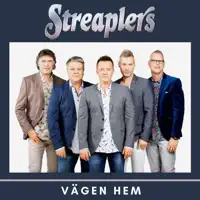 Vägen hem (Single Edit) — Streaplers