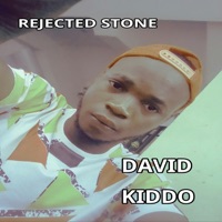 Rejected Stone - EP - David Kiddo