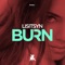 Burn (Club Mix) - Lisitsyn lyrics