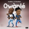 Owanle (feat. DJ Moremuzic) - Single