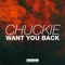 Want You Back - Single