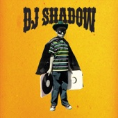 DJ Shadow - Enuff