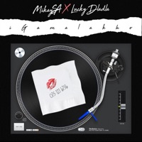 Igamalakho (feat. Lucky Dladla) - Single - MikaySA