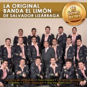 La Original Banda El Limón de Salvador Lizárraga - Sin Pensar Yo Te Engañé