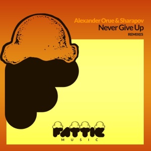 Never Give Up Remixes - EP