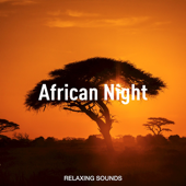 African Night Sounds