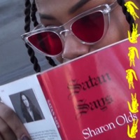 Pink Crocodile - Single - Amo Achille