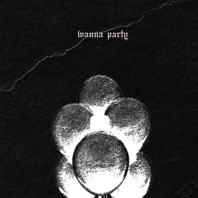 Wanna Party (feat. Ripp Flamez) - Single