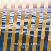 Voir s'ouvrir la mer artwork
