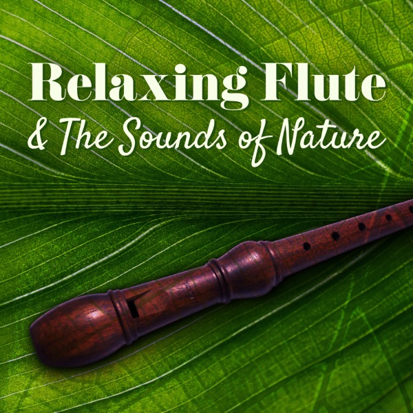 Relaxing Flute & the Sounds of Nature: Amazing Flute Music for Meditation Session, Spa, Massage, Sound Therapy with Sea, Forest & Birds