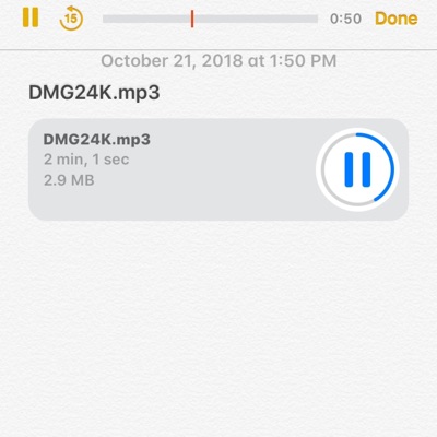 Dmg24k (feat. Lj Sav) - Single