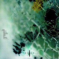 To Carry Death With You or Whatever - Single - Catslash