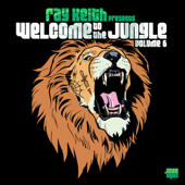 Welcome to the Jungle, Vol. 6: The Ultimate Jungle Cakes Drum & Bass Compilation - Various Artists