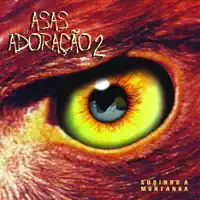 Tanto Te Quero — Asas Da Adoracao