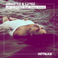 Lay It Down (feat. Gabe Xavier) - Single - 2 Wasted & Lutez