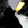 Black Pond cover art