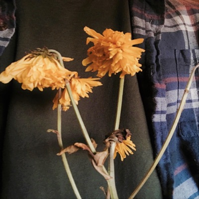 Fall Vibe - Single