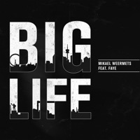 Big Life (feat. Faye) - Single - Mikael Weermets