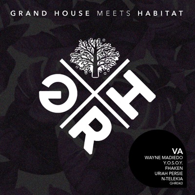 Grand House Meets Habitat - EP