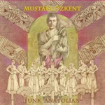 Mustafa Ozkent - Çökertme