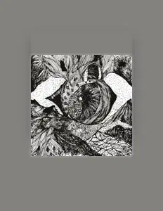 Escucha a Dünya, mira vídeos musicales, lee la biografía, consulta fechas de giras y mucho más.