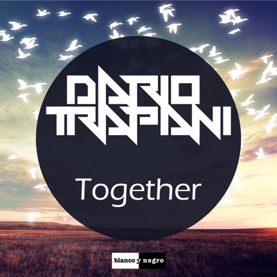 Together - Dario Trapani | Shazam