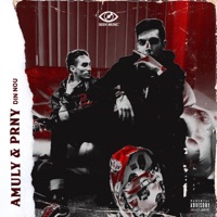 Din Nou - Single - Amuly & PRNY