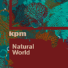 Natural World - Anthony Phillips, James Collins & Martin Robertson