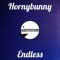 Endless - Hornybunny lyrics
