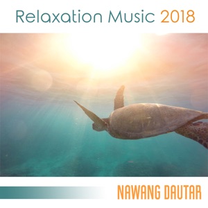 Relaxation Music 2018