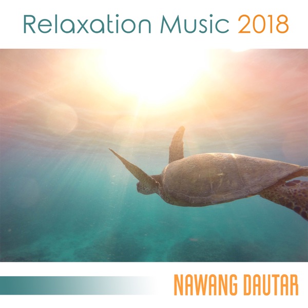 Relaxation Music 2018