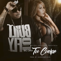 Tu Cuerpo - Single - Big Dina