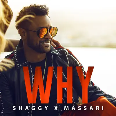 Why - Single - Shaggy