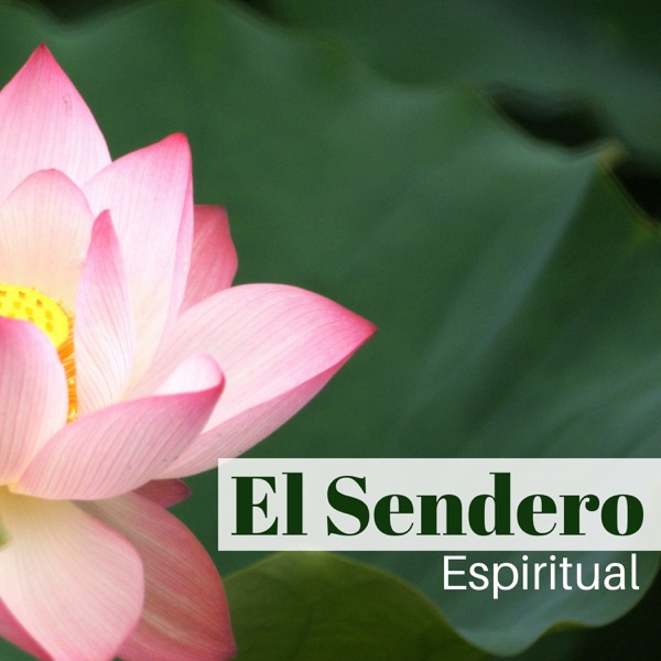 El Sendero Espiritual - Sesion de Música Pensada para el Ejercicio del Yoga Holístico e Integral