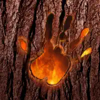 La Vida Es Todo Lo Que Vos Quieras — Árbol