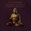 Stream & download Buddha and the Chocolate Box