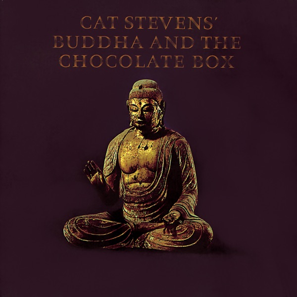 Album cover for Buddha and the Chocolate Box