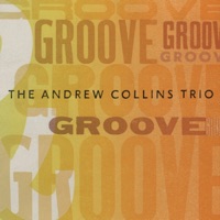 The Andrew Collins Trio - Big Toaster