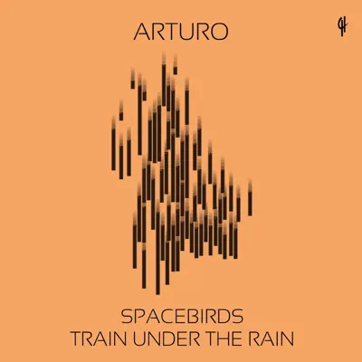 Spacebirds / Train Under the Rain - Single - Arturo