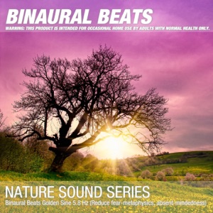 Binaural Beats Golden Sine 5.8 Hz: Reduce fear-metaphysics, absent-mindedness